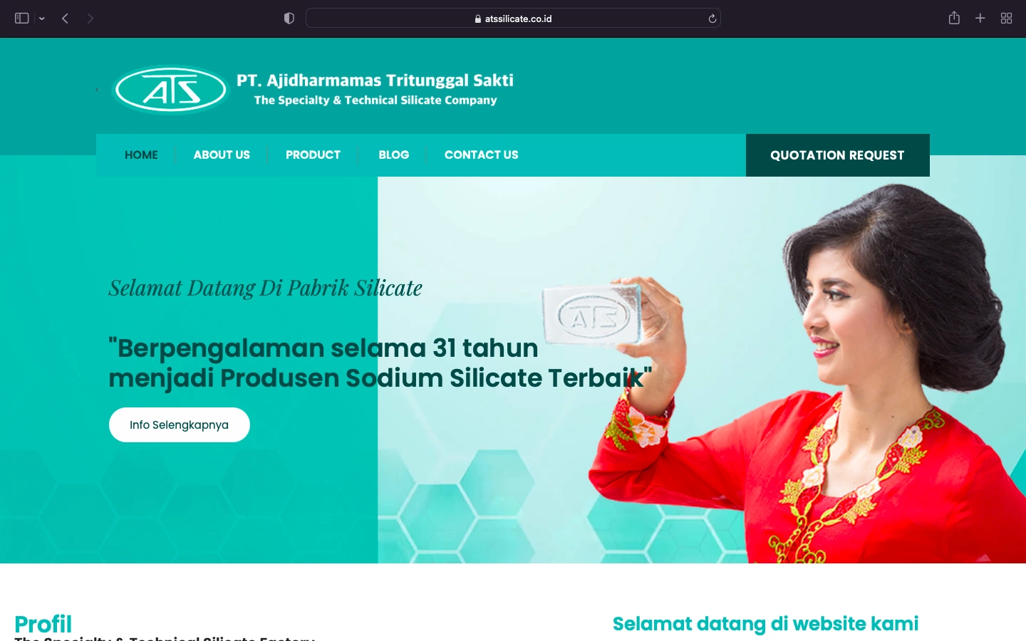 Pembuatan Website